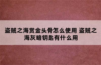 盗贼之海赏金头骨怎么使用 盗贼之海灰暗钥匙有什么用